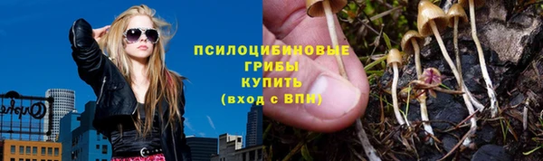 дурь Липки