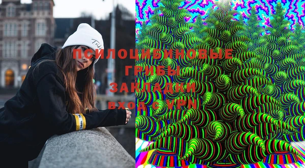 гашик Лабытнанги