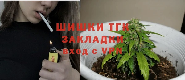 гашик Лабытнанги