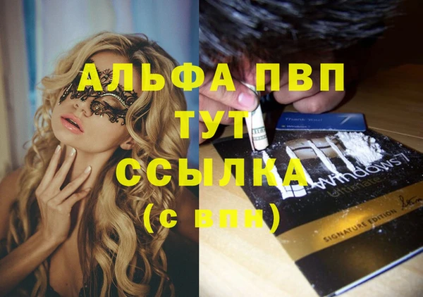 гашик Лабытнанги