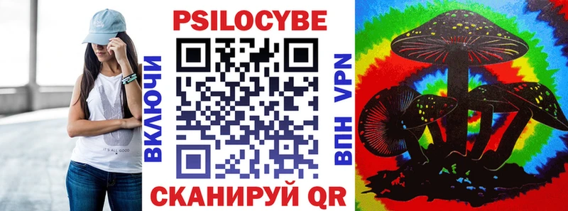 Псилоцибиновые грибы мицелий  MEGA tor  Котельники  наркота 