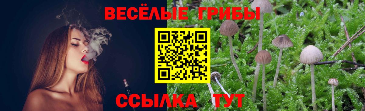 Галлюциногенные грибы мицелий  Вход с VPN  где можно купить наркотик  Котельники 