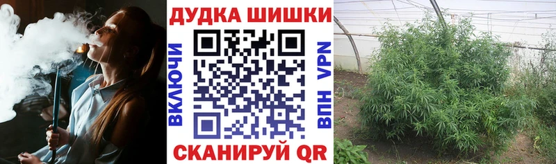 Шишки марихуана семена  нарко площадка телеграм  гидра зеркало  Котельники  купить  сайты 